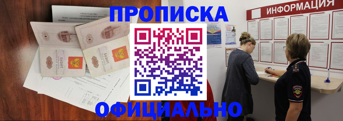 найти адрес прописки в Камышине