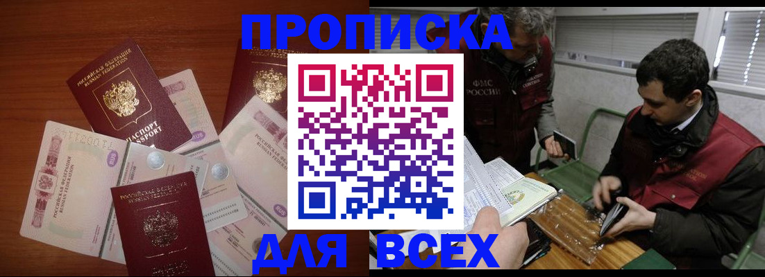прописка поиск в Камышине
